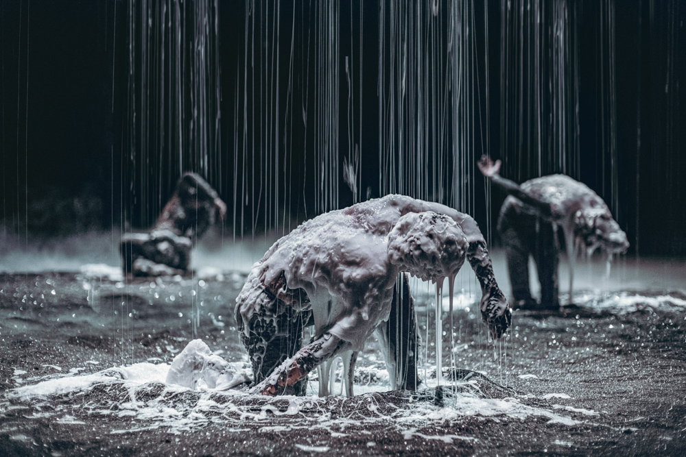 8ee9e842-905c-5165-fc72-a9f98e22b4cd